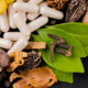 Unveiling Nature’s Pharmacy: Herbal Remedies for Everyday Ailments